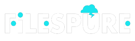 FilesPure - Cheap Cloud Storage System